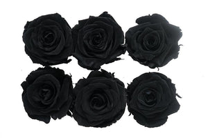 Large: Black  Nigth Rosas Preservadas  * 6 Cabezas de rosas