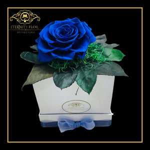 MI PERSONA FAVORITA 3