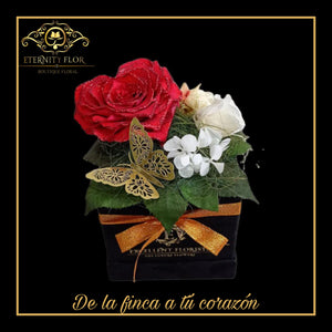 MI CORAZÓN TE PERTENECE