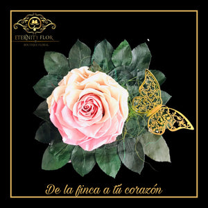 MI PERSONA FAVORITA 2