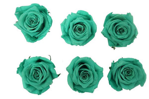 Large: Sea Green Rosas Preservadas * 6 Cabezas de rosas