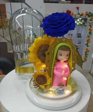 Virgen de Guadalupe