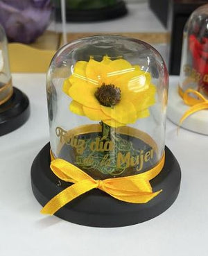 GIRASOL XS