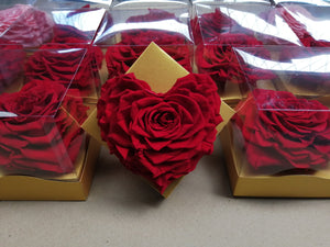 Jumbo Rosas Preservadas Corazón