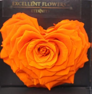 Corazón Bright Orange Jumbo Rosa Preservada 002