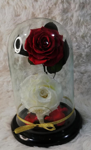 URNA DE CRISTAL XL CON DOS HERMOSAS ROSAS PRESERVADAS PURE WHITE AND RED BRIGHT PERSONALIZADAS