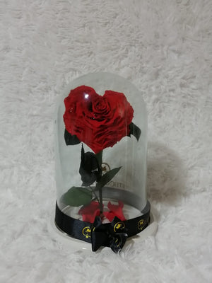 URNA DE CRISTAL XL CON UNA HERMOSA ROSA PRESERVADA JUMBO EN FORMA DE CORAZÓN