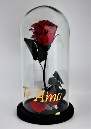 URNA DE CRISTAL XL CON UNA HERMOSA ROSA PRESERVADA RED BRIGHT PERSONALIZADA