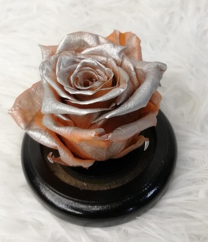 URNA DE CRISTAL XS CON UNA HERMOSA MINI ROSA ORANGE PEARL PRESERVADA