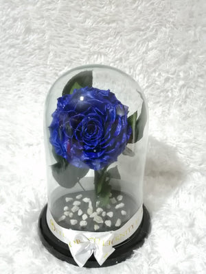 URNA DE CRISTAL XL CON UNA HERMOSA ROSA PRESERVADA ROYAL BLUE METALLIC JUMBO