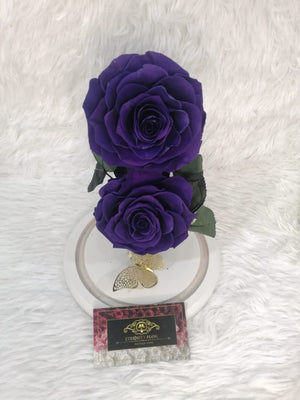 URNA DE CRISTAL XL CON DOS HERMOSAS ROSAS PRESERVADAS PURPLE