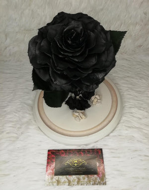 URNA DE CRISTAL L CON UNA HERMOSA ROSA PRESERVADA JUMBO BLACK NIGHT METALLIC