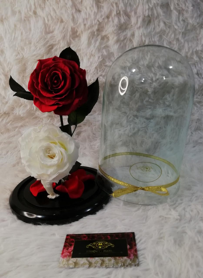 URNA DE CRISTAL XL CON DOS HERMOSAS ROSAS PRESERVADAS PURE WHITE AND RED BRIGHT PERSONALIZADAS