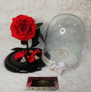 URNA DE CRISTAL L CON UNA HERMOSA ROSA PRESERVADA XL