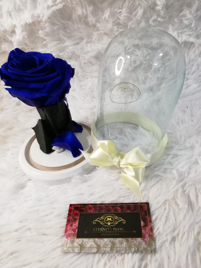 URNA DE CRISTAL M CON UNA HERMOSA ROSA PRESERVADA ROYAL BLUE