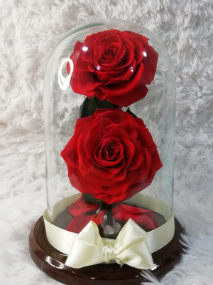 URNA DE CRISTAL XL CON DOS HERMOSAS ROSAS PRESERVADAS BRIGHT RED