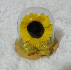 URNA DE CRISTAL SMALL CON UN HERMOSO GIRASOL PRESERVADO