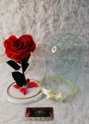 URNA DE CRISTAL XL CON UNA HERMOSA ROSA PRESERVADA EN FORMA DE CORAZÓN BRIGHT RED