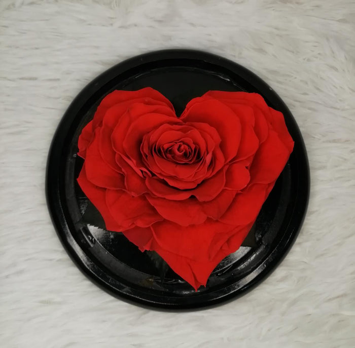 URNA DE CRISTAL PLANETARIO CON UNA HERMOSA ROSA PRESERVADA BRIGHT RED EN FORMA DE CORAZON