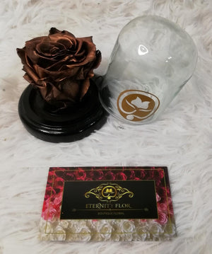 URNA DE CRISTAL XS CON UNA HERMOSA MINI ROSA COBRE PRESERVADA