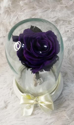 URNA DE CRISTAL M CON UNA HERMOSA ROSA PRESERVADA PURPLE