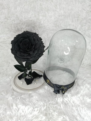 URNA DE CRISTAL XL CON UNA HERMOSA ROSA PRESERVADA BLACK NIGHT PEARL