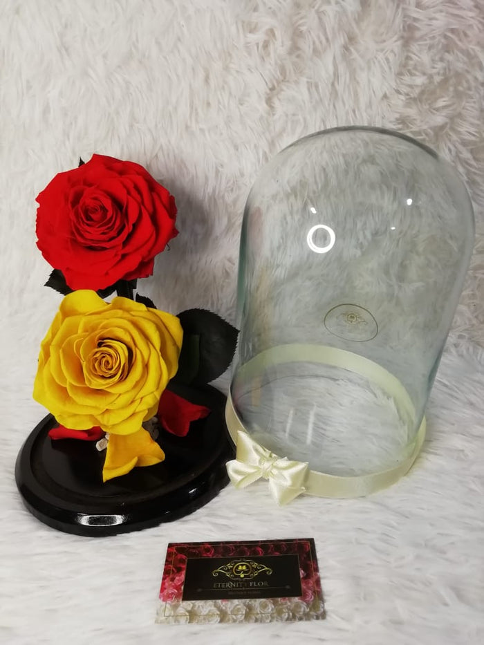 URNA DE CRISTAL XL CON DOS HERMOSAS ROSAS PRESERVADAS RED BRIGHT AND SUN YELLOWPERSONALIZADAS