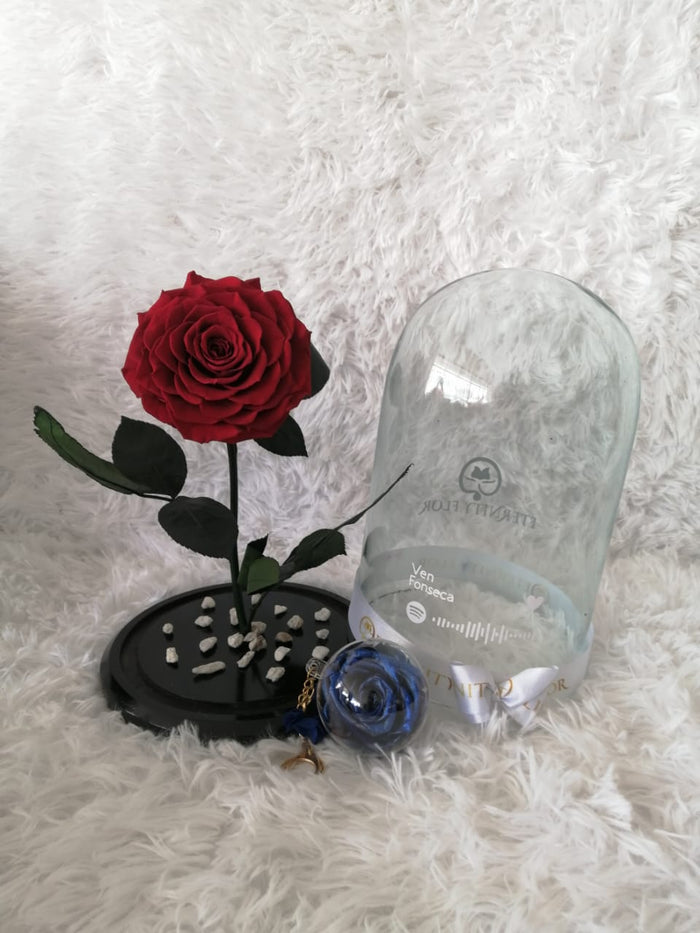 URNA DE CRISTAL XL CON UNA HERMOSA ROSA PRESERVADA RED BRIGHT JUMBO