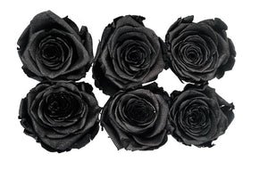 Medium: Black  Night Pearl  Rosas Preservada * 6 cabezas de rosas