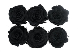 Medium: Black  Nigth Rosas Preservadas  * 6 Cabezas de rosas