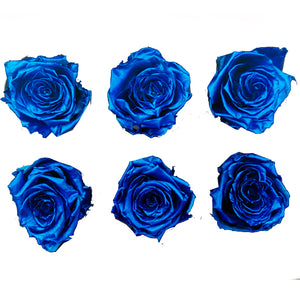 Medium: Blue Metallic  Rosas Preservadas * 6 cabezas de rosas