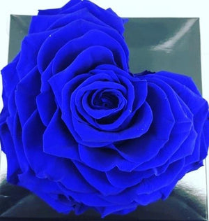 Corazón Royal Blue Jumbo Rosa Preservada 004