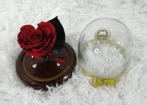 URNA DE CRISTAL SMALL CON UNA HERMOSA ROSA PRESERVADA BRIGHT RED EN FORMA DE CORAZÓN