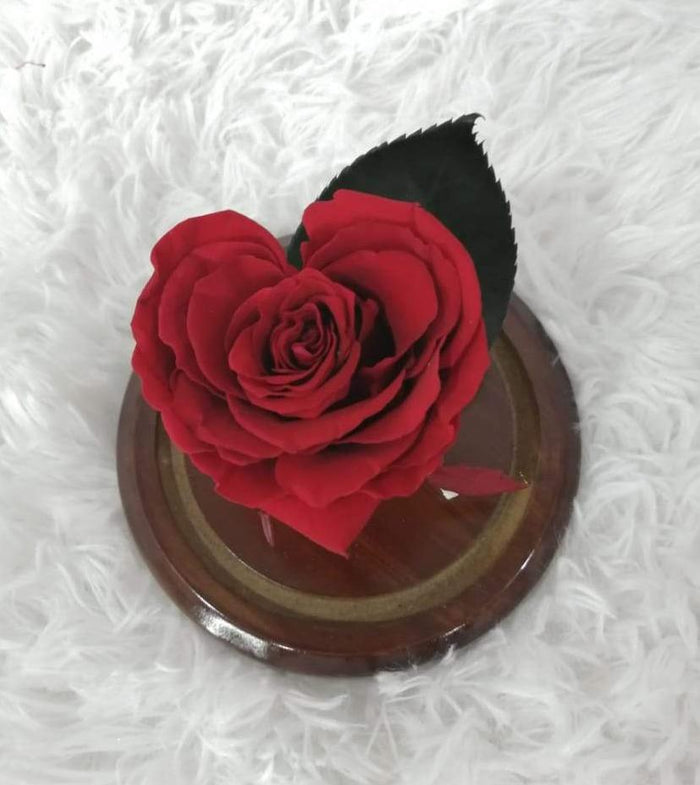 URNA DE CRISTAL SMALL CON UNA HERMOSA ROSA PRESERVADA BRIGHT RED EN FORMA DE CORAZÓN