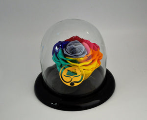 URNA DE CRISTAL SMALL CON UNA HERMOSA ROSA PRESERVADA RAINBOW 2