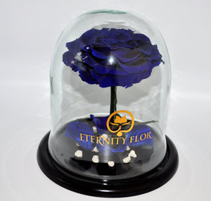 URNA DE CRISTAL L CON UNA HERMOSA ROSA PRESERVADA JUMBO AZUL ROYAL BLUE