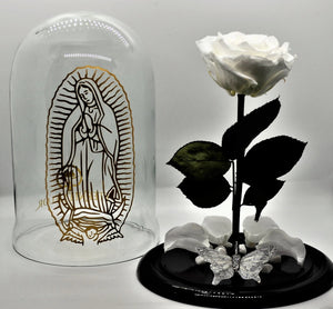 URNA DE CRISTAL XL VIRGENSITA DE GUADALUPE