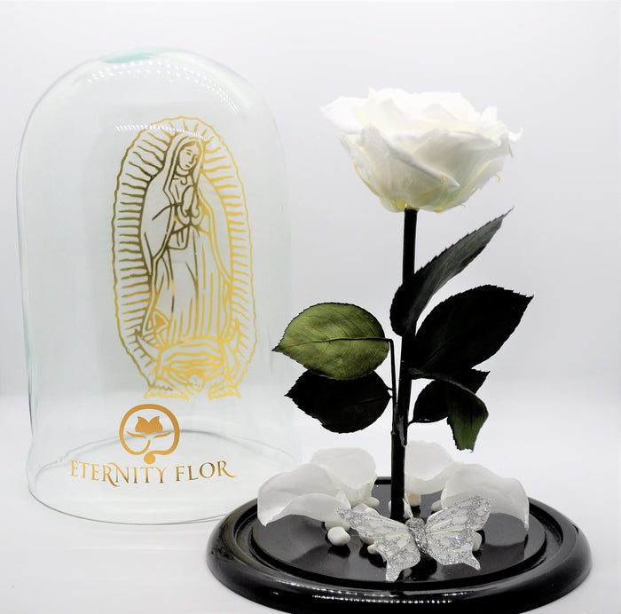 URNA DE CRISTAL XL VIRGENSITA DE GUADALUPE