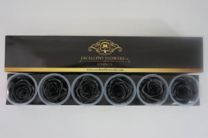 Medium: Black  Night Pearl  Rosas Preservada * 6 cabezas de rosas