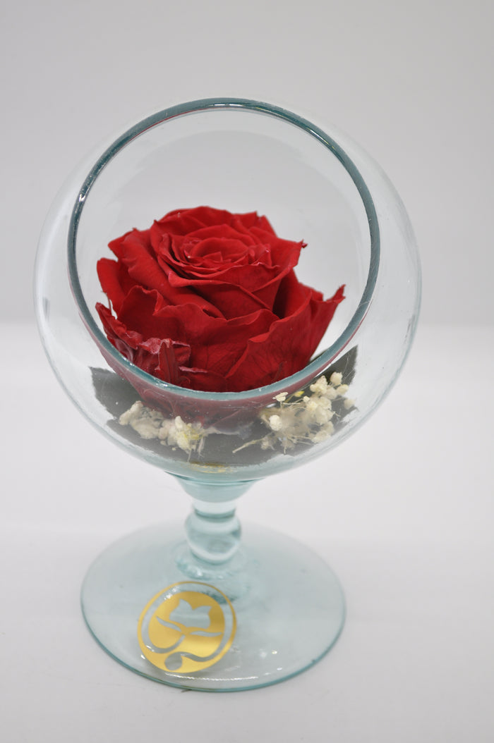 PECERA DE CRISTAL CON UNA HERMOSA ROSA PRESERVADA RED BRIGHT