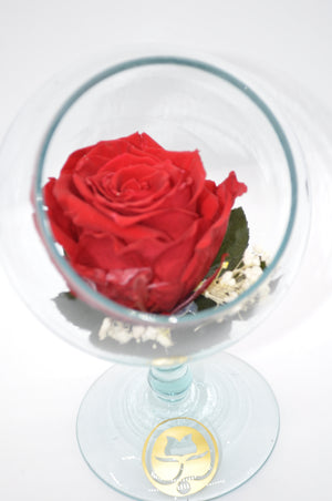 PECERA DE CRISTAL CON UNA HERMOSA ROSA PRESERVADA RED BRIGHT