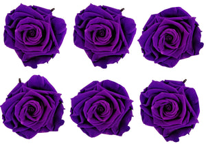Medium: Dark Purple Rosas Preservadas * 6 cabezas de rosas