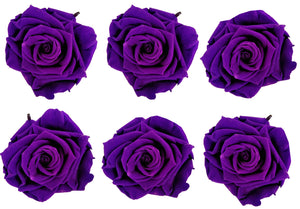 Large: Dark Purple Rosas Preservadas * 6 cabezas de rosas