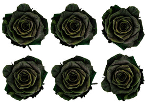 Medium: Forest Pearl Rosas Preservadas * 6 cabezas de rosas