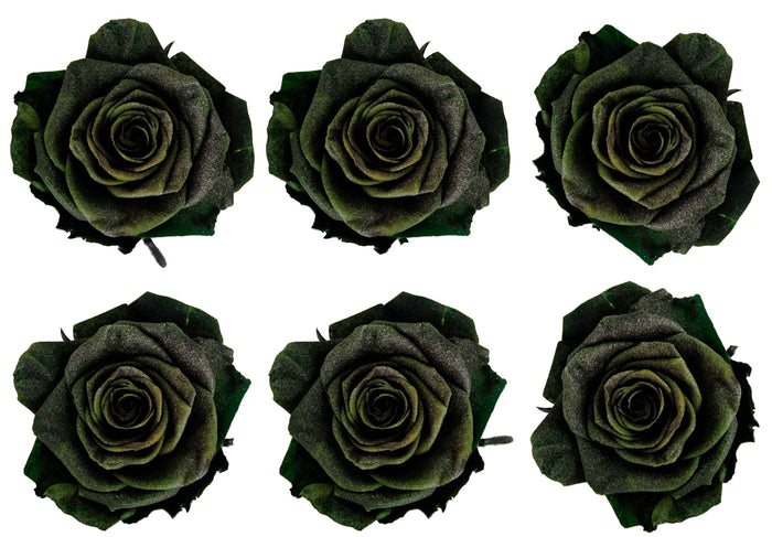 Medium: Forest Pearl Rosas Preservadas * 6 cabezas de rosas