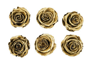 Medium: Gold Rosas Preservadas * 6 cabezas de rosas