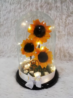 URNA DE CRISTAL XL CON 3 HERMOSOS GIRASOLES PRESERVADOS ACOMPAÑADO DE LUCES