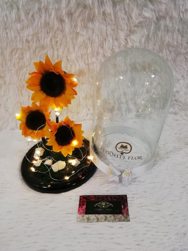 URNA DE CRISTAL XL CON 3 HERMOSOS GIRASOLES PRESERVADOS ACOMPAÑADO DE LUCES