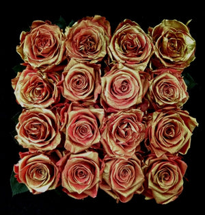 rosas preservadas