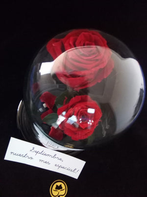 URNA DE CRISTAL XL CON DOS HERMOSAS ROSAS PRESERVADAS RED BRIGHT